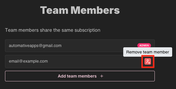 Remove Team Member